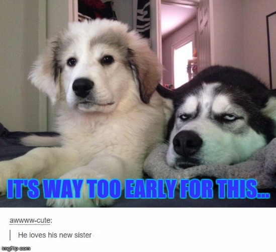 Image Tagged In Bad Morning Imgflip