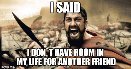 Sparta Leonidas Meme | I SAID I DON`T HAVE ROOM IN MY LIFE FOR ANOTHER FRIEND | image tagged in memes,sparta leonidas | made w/ Imgflip meme maker