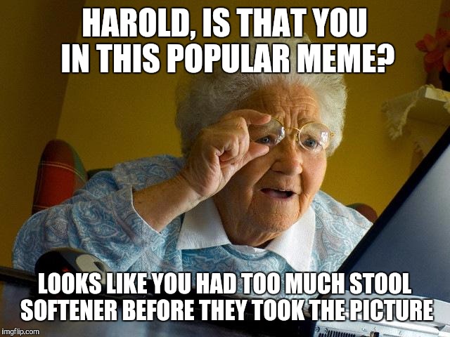 Grandma Finds The Internet | HAROLD, IS THAT YOU IN THIS POPULAR MEME? LOOKS LIKE YOU HAD TOO MUCH STOOL SOFTENER BEFORE THEY TOOK THE PICTURE | image tagged in memes,grandma finds the internet | made w/ Imgflip meme maker
