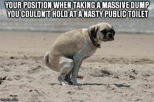 Toilet Problems | YOUR POSITION WHEN TAKING A MASSIVE DUMP YOU COULDN'T HOLD AT A NASTY PUBLIC TOILET | image tagged in toilet,squat | made w/ Imgflip meme maker