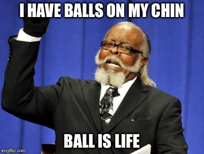 Too Damn High Meme | I HAVE BALLS ON MY CHIN; BALL IS LIFE | image tagged in memes,too damn high | made w/ Imgflip meme maker