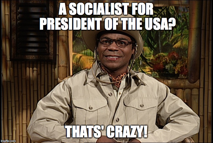 Ryan Fellows Bernie Sanders | A SOCIALIST FOR PRESIDENT OF THE USA? THATS' CRAZY! | image tagged in ryan fellows bernie sanders | made w/ Imgflip meme maker