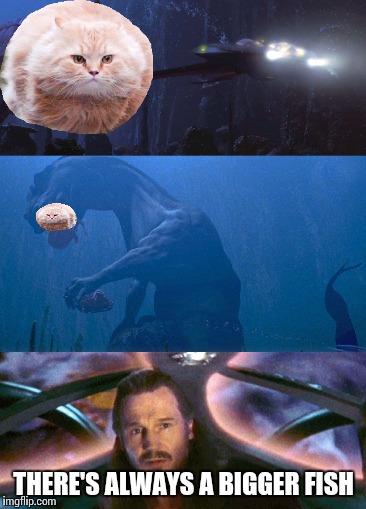 There's always a bigger catfish | THERE'S ALWAYS A BIGGER FISH | image tagged in memes,star wars | made w/ Imgflip meme maker