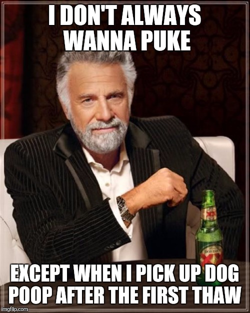 The Most Interesting Man In The World Meme | I DON'T ALWAYS WANNA PUKE; EXCEPT WHEN I PICK UP DOG POOP AFTER THE FIRST THAW | image tagged in memes,the most interesting man in the world | made w/ Imgflip meme maker