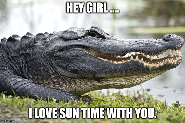 HEY GIRL .... I LOVE SUN TIME WITH YOU. | image tagged in ryan gosling | made w/ Imgflip meme maker