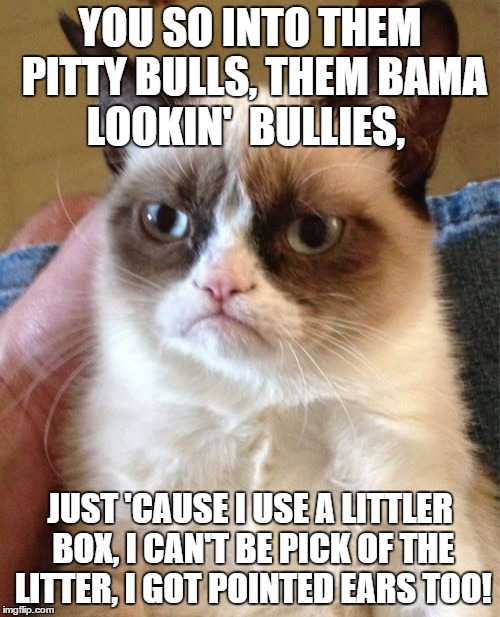Grumpy Cat Meme | YOU SO INTO THEM PITTY BULLS, THEM BAMA LOOKIN'  BULLIES, JUST 'CAUSE I USE A LITTLER BOX, I CAN'T BE PICK OF THE LITTER, I GOT POINTED EARS TOO! | image tagged in memes,grumpy cat | made w/ Imgflip meme maker