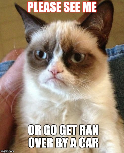 Grumpy Cat |  PLEASE SEE ME; OR GO GET RAN OVER BY A CAR | image tagged in memes,grumpy cat | made w/ Imgflip meme maker