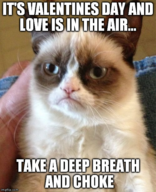 Valentines Day | IT'S VALENTINES DAY AND LOVE IS IN THE AIR... TAKE A DEEP BREATH AND CHOKE | image tagged in memes,grumpy cat | made w/ Imgflip meme maker