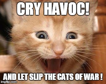 Excited Cat | CRY HAVOC! AND LET SLIP THE CATS OF WAR ! | image tagged in memes,excited cat,war,funny cat memes | made w/ Imgflip meme maker