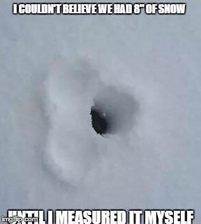 8' snow |  I COULDN'T BELIEVE WE HAD 8" OF SNOW; UNTIL I MEASURED IT MYSELF | image tagged in snow storm large | made w/ Imgflip meme maker