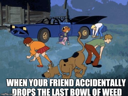 When you accidently drop a pill at a rave | WHEN YOUR FRIEND ACCIDENTALLY DROPS THE LAST BOWL OF WEED | image tagged in when you accidently drop a pill at a rave | made w/ Imgflip meme maker