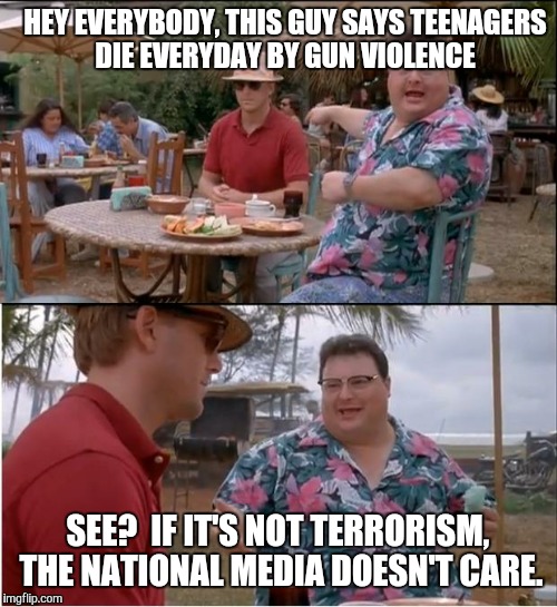 Truth | HEY EVERYBODY, THIS GUY SAYS TEENAGERS DIE EVERYDAY BY GUN VIOLENCE; SEE?  IF IT'S NOT TERRORISM, THE NATIONAL MEDIA DOESN'T CARE. | image tagged in memes,see nobody cares | made w/ Imgflip meme maker
