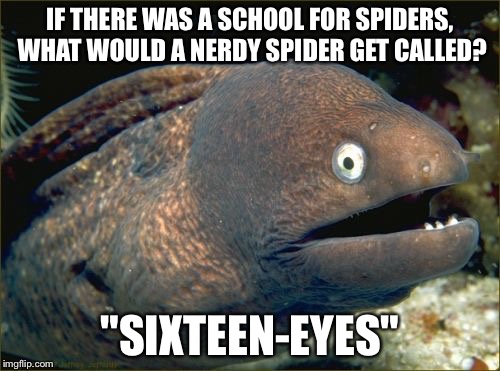 Bad Joke Eel | IF THERE WAS A SCHOOL FOR SPIDERS, WHAT WOULD A NERDY SPIDER GET CALLED? "SIXTEEN-EYES" | image tagged in memes,bad joke eel | made w/ Imgflip meme maker