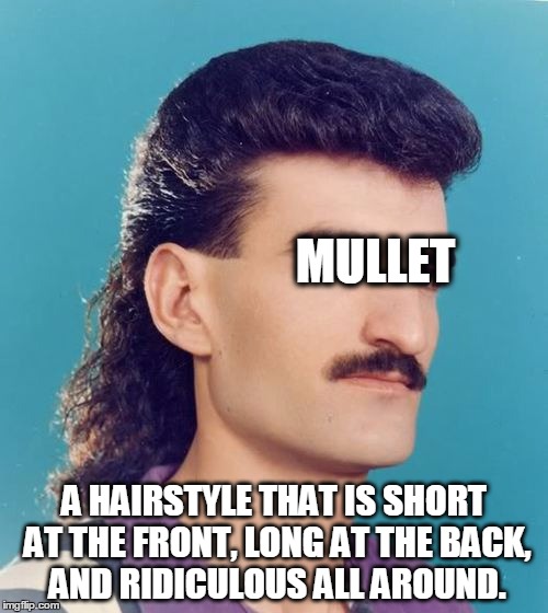 24 What is the definition of a mullet haircut Shoulder Length