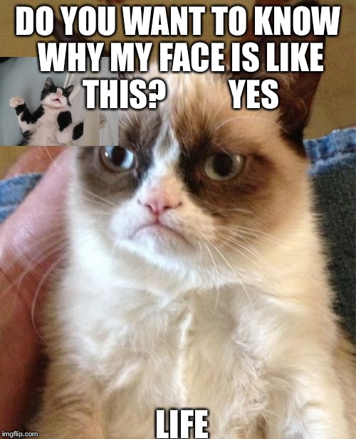 Grumpy Cat Meme | DO YOU WANT TO KNOW WHY MY FACE IS LIKE THIS?
         YES; LIFE | image tagged in memes,grumpy cat | made w/ Imgflip meme maker