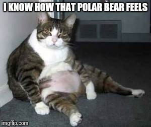 I KNOW HOW THAT POLAR BEAR FEELS | made w/ Imgflip meme maker