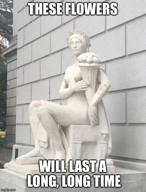 WOMAN WITH CONE | THESE FLOWERS WILL LAST A LONG, LONG TIME | image tagged in woman with cone | made w/ Imgflip meme maker