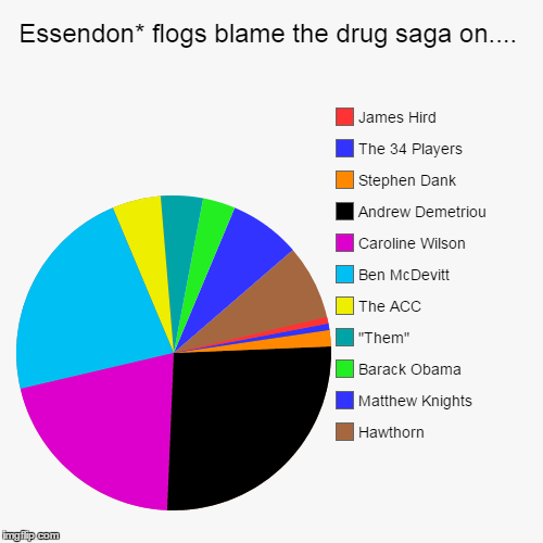 Essendon* flogs blame the drug saga on.... | Hawthorn, Matthew Knights, Barack Obama, "Them", The ACC, Ben McDevitt, Caroline Wilson, Andrew | image tagged in funny,pie charts | made w/ Imgflip chart maker