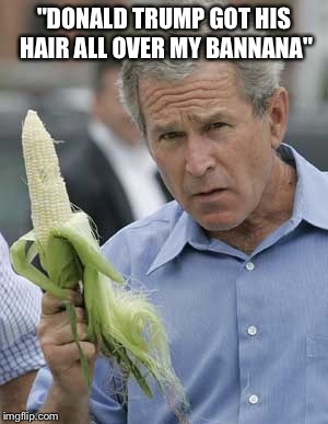 Waiter,theres a hair in my food | "DONALD TRUMP GOT HIS HAIR ALL OVER MY BANNANA" | image tagged in donald trump,george bush,featured,front page,so hot right now,memes | made w/ Imgflip meme maker