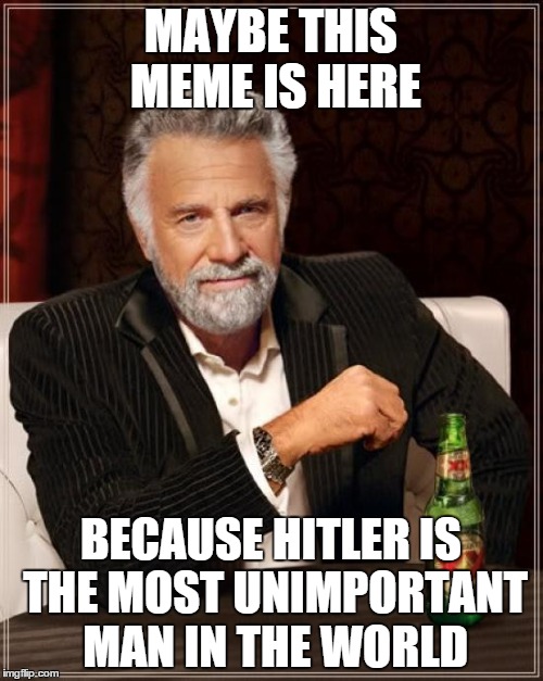 The Most Interesting Man In The World Meme | MAYBE THIS MEME IS HERE BECAUSE HITLER IS THE MOST UNIMPORTANT MAN IN THE WORLD | image tagged in memes,the most interesting man in the world | made w/ Imgflip meme maker