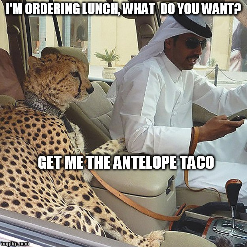 Meanwhile, in Dubai | I'M ORDERING LUNCH, WHAT  DO YOU WANT? GET ME THE ANTELOPE TACO | image tagged in lunch,cats | made w/ Imgflip meme maker