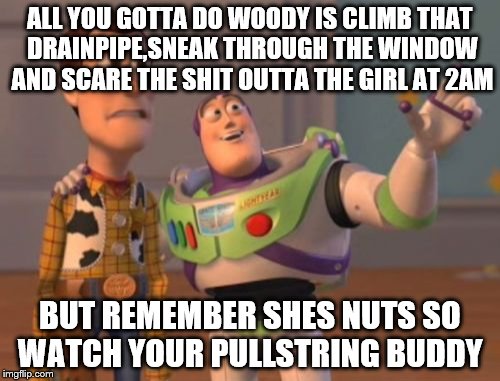 X, X Everywhere | ALL YOU GOTTA DO WOODY IS CLIMB THAT DRAINPIPE,SNEAK THROUGH THE WINDOW AND SCARE THE SHIT OUTTA THE GIRL AT 2AM; BUT REMEMBER SHES NUTS SO WATCH YOUR PULLSTRING BUDDY | image tagged in memes,x x everywhere | made w/ Imgflip meme maker