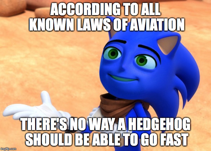 The Sanic Movie |  ACCORDING TO ALL KNOWN LAWS OF AVIATION; THERE'S NO WAY A HEDGEHOG SHOULD BE ABLE TO GO FAST | image tagged in the sanic movie | made w/ Imgflip meme maker