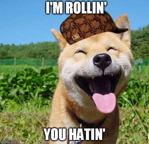 Happy Dog | I'M ROLLIN'; YOU HATIN' | image tagged in happy dog,scumbag | made w/ Imgflip meme maker