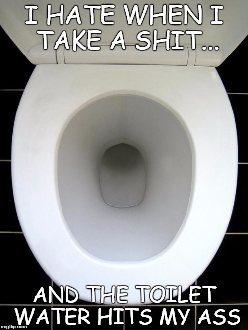 TOILET | I HATE WHEN I TAKE A SHIT... AND THE TOILET WATER HITS MY ASS | image tagged in toilet | made w/ Imgflip meme maker