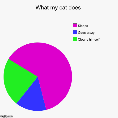 image tagged in funny,pie charts | made w/ Imgflip chart maker