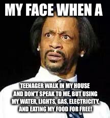 Kat Williams | MY FACE WHEN A; TEENAGER WALK IN MY HOUSE AND DON'T SPEAK TO ME, BUT USING MY WATER, LIGHTS, GAS, ELECTRICITY, AND EATING MY FOOD FOR FREE! | image tagged in kat williams | made w/ Imgflip meme maker