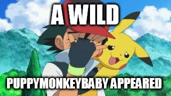 Ash Facepalm | A WILD; PUPPYMONKEYBABY APPEARED | image tagged in ash facepalm | made w/ Imgflip meme maker