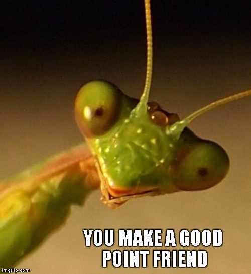 YOU MAKE A GOOD POINT FRIEND | made w/ Imgflip meme maker