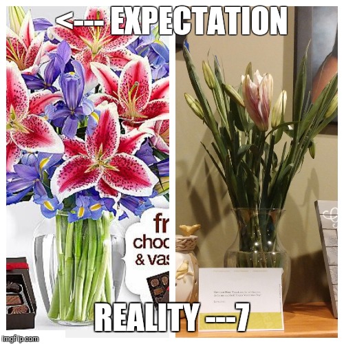 <--- EXPECTATION; REALITY ---7 | image tagged in flower,expectation vs reality,sexy,valentine's day,valentines,sex | made w/ Imgflip meme maker