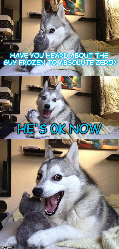 Bad Pun Dog | HAVE YOU HEARD ABOUT THE GUY FROZEN TO ABSOLUTE ZERO? HE'S 0K NOW | image tagged in memes,bad pun dog | made w/ Imgflip meme maker