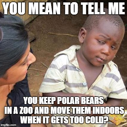 Third World Skeptical Kid | YOU MEAN TO TELL ME; YOU KEEP POLAR BEARS IN A ZOO AND MOVE THEM INDOORS WHEN IT GETS TOO COLD? | image tagged in memes,third world skeptical kid | made w/ Imgflip meme maker