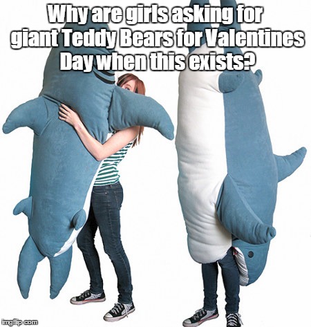 Buy your loved one a Land Shark | Why are girls asking for giant Teddy Bears for Valentines Day when this exists? | image tagged in funny | made w/ Imgflip meme maker