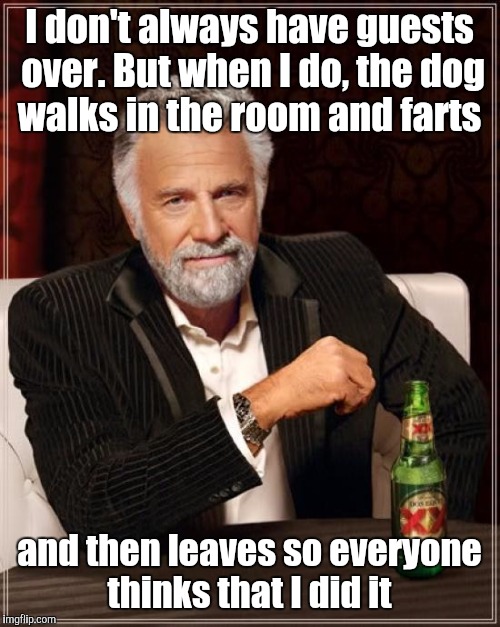 The Most Interesting Man In The World | I don't always have guests over. But when I do, the dog walks in the room and farts; and then leaves so everyone thinks that I did it | image tagged in memes,the most interesting man in the world | made w/ Imgflip meme maker