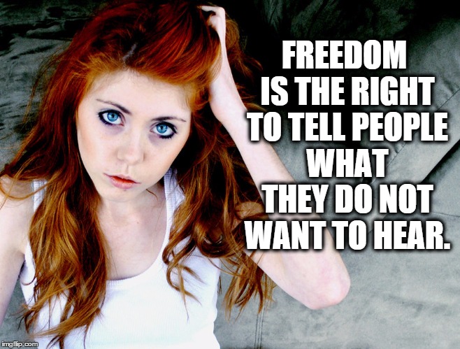 FREEDOM IS THE RIGHT TO TELL PEOPLE WHAT THEY DO NOT WANT TO HEAR. | image tagged in freedom is the right to tell people what they do not want to hea | made w/ Imgflip meme maker