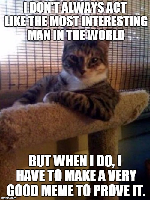 The Most Interesting Cat In The World | I DON'T ALWAYS ACT LIKE THE MOST INTERESTING MAN IN THE WORLD; BUT WHEN I DO, I HAVE TO MAKE A VERY GOOD MEME TO PROVE IT. | image tagged in memes,the most interesting cat in the world,the most interesting man in the world | made w/ Imgflip meme maker