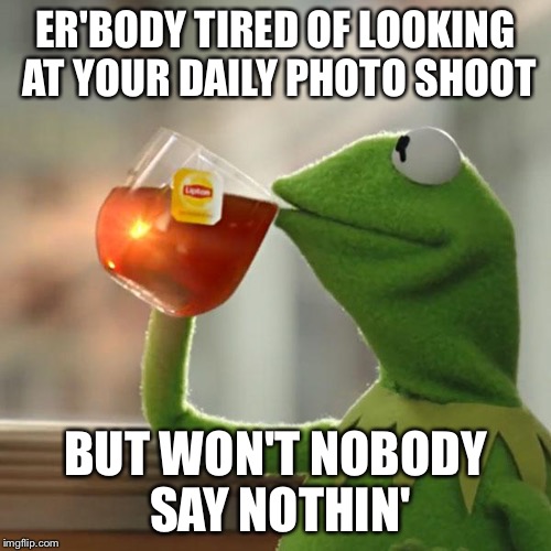 But That's None Of My Business | ER'BODY TIRED OF LOOKING AT YOUR DAILY PHOTO SHOOT; BUT WON'T NOBODY SAY NOTHIN' | image tagged in memes,but thats none of my business,kermit the frog | made w/ Imgflip meme maker