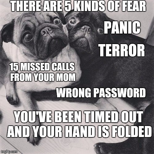 Scared pugs | THERE ARE 5 KINDS OF FEAR; PANIC; TERROR; 15 MISSED CALLS FROM YOUR MOM; WRONG PASSWORD; YOU'VE BEEN TIMED OUT AND YOUR HAND IS FOLDED | image tagged in scared pugs | made w/ Imgflip meme maker