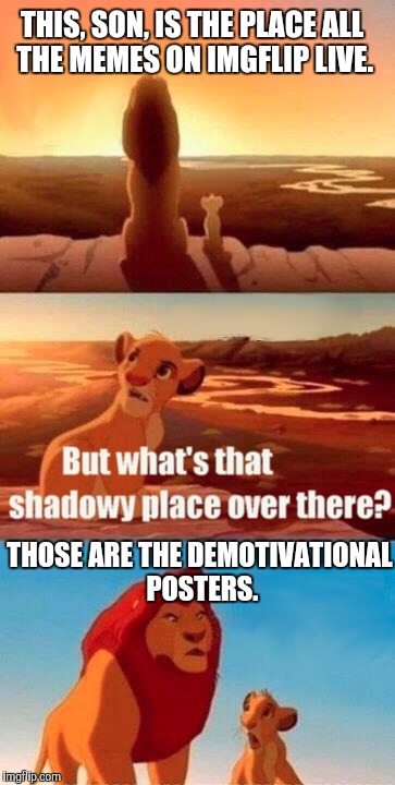 Simba Shadowy Place Meme | THIS, SON, IS THE PLACE ALL THE MEMES ON IMGFLIP LIVE. THOSE ARE THE DEMOTIVATIONAL POSTERS. | image tagged in memes,simba shadowy place | made w/ Imgflip meme maker