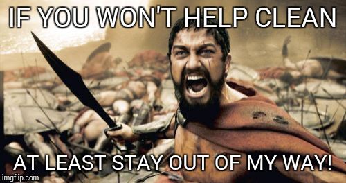 Sparta Leonidas Meme | IF YOU WON'T HELP CLEAN; AT LEAST STAY OUT OF MY WAY! | image tagged in memes,sparta leonidas | made w/ Imgflip meme maker