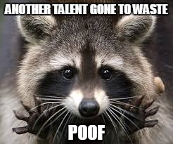 ANOTHER TALENT
GONE TO WASTE POOF | made w/ Imgflip meme maker