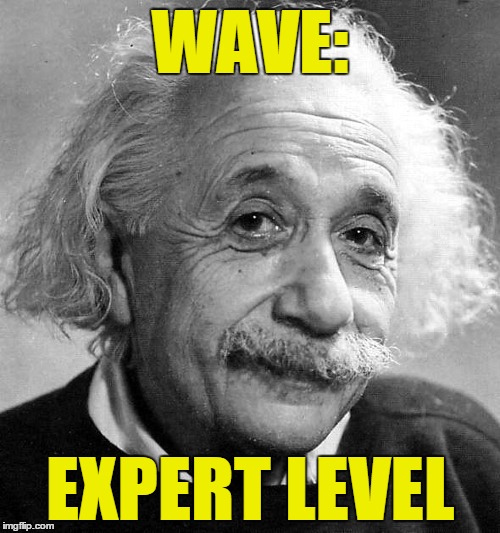 Started the wave before it was cool at the Stadium... | WAVE:; EXPERT LEVEL | image tagged in einstein,gravitational waves,theory,black holes | made w/ Imgflip meme maker