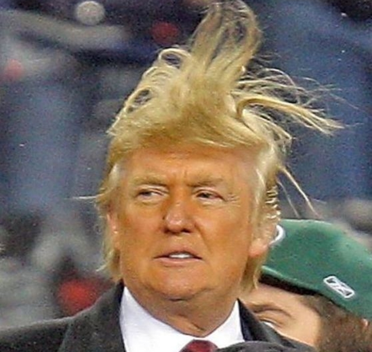 High Quality Donald Trump Hair Blank Meme Template