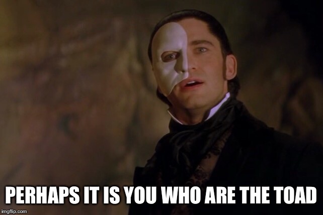 Phantom burn | PERHAPS IT IS YOU WHO ARE THE TOAD | image tagged in phantom of the opera,thephantomoftheopera,toad,burn,musical,movie quote | made w/ Imgflip meme maker