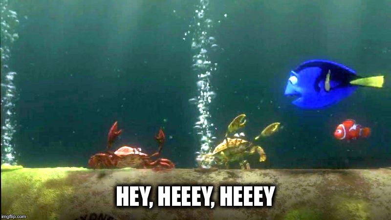Finding Nemo Hey Hey Crabs | HEY, HEEEY, HEEEY | image tagged in finding nemo,crabs,pixar,disney,hey,movie quotes | made w/ Imgflip meme maker