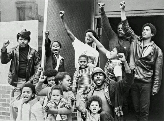 Black panthers Blank Meme Template